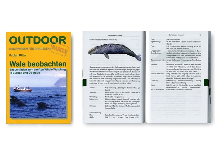 26 Wal- und Delfinillustrationen von Katrin Wähner in der 
2. Auflage des Buches „Wale beobachten“ von Fabian Ritter