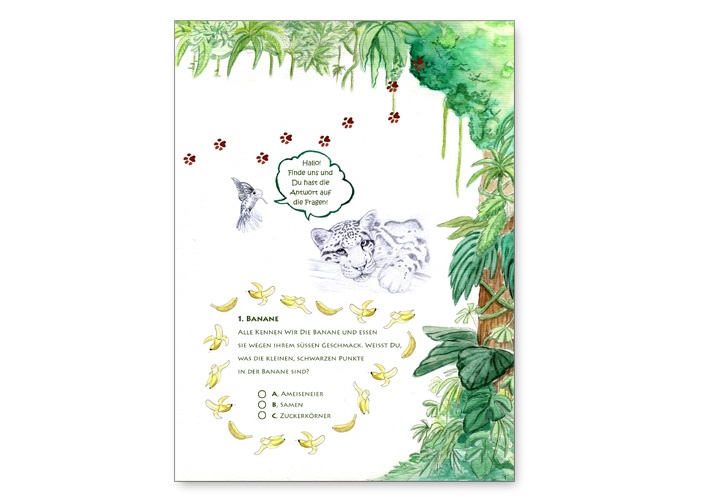 Regenwald-Quiz für Kinder von Katrin Wähner